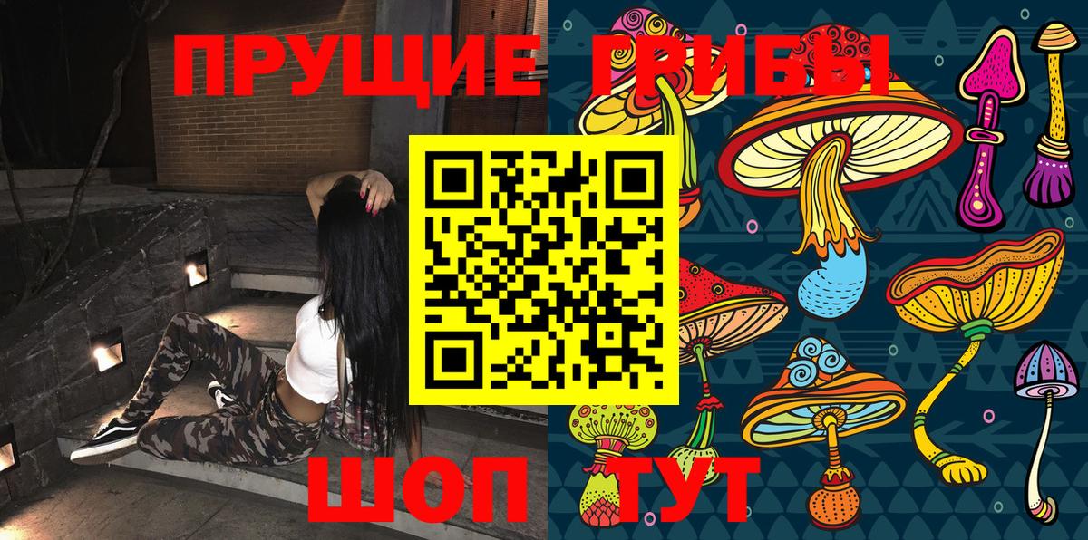 Галлюциногенные грибы Psilocybine cubensis  Вход с VPN  дарнет шоп  Элиста 